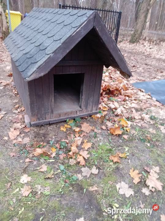 Buda psa Warszawa sprzedam