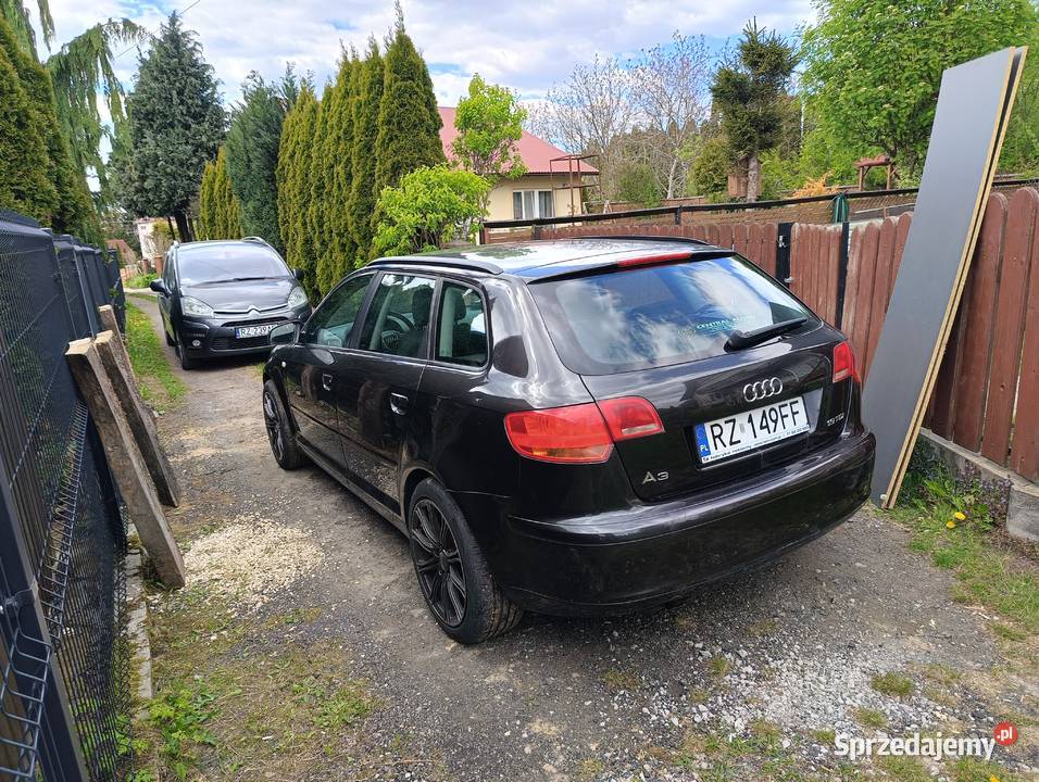 Do sprzedania Audi a3 8p 19tdi pr 109KM podkarpackie