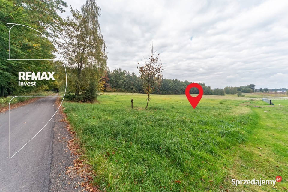 Piękna działka rolna pod lasem 6138m2 Sprzedaż Witkowice