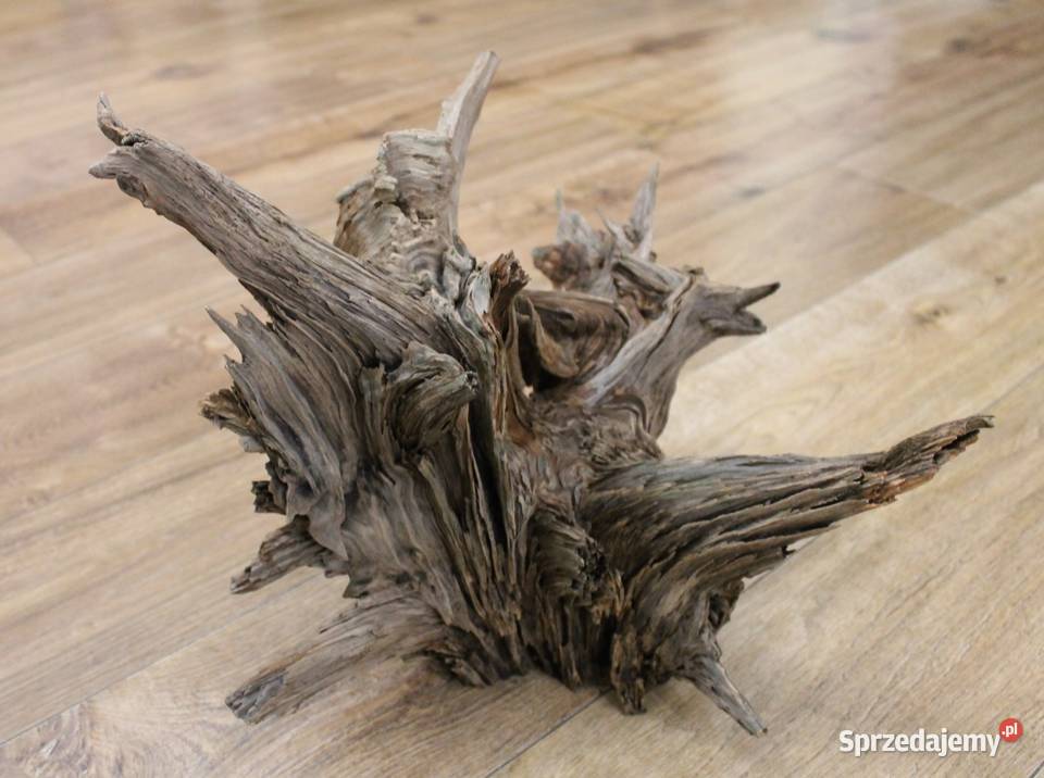 Korzeń do terrarium akwarium Pozostałe Siekierki Małe