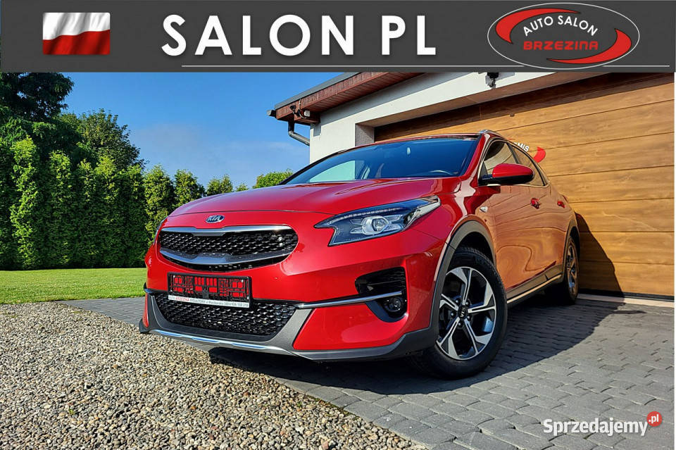 Kia XCeed serwis ASO hak manualna Kia