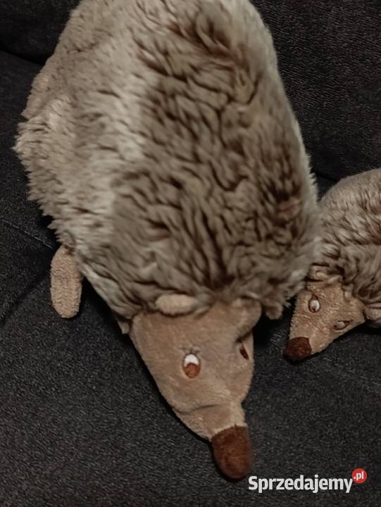 rodzina jeży pluszowa zabawka maskotka pluszak sprzedam
