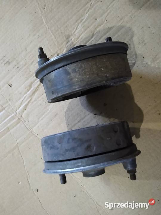 WSK 125 WSK 175 szczekotrzymacze kujawsko-pomorskie Kruszwica