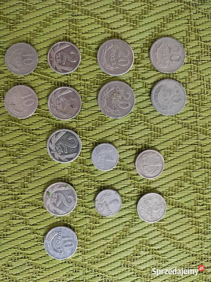 Stare polskie monety Karnice