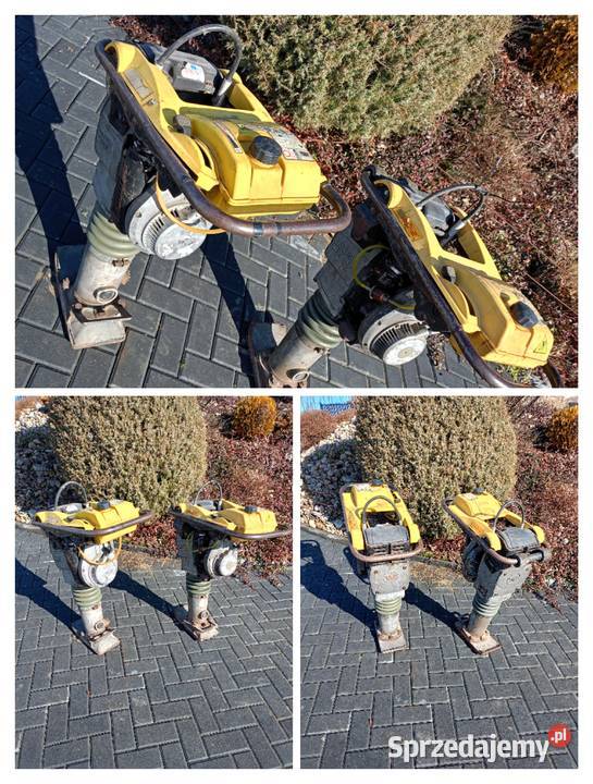 Skoczek Wacker Neuson ubijak zageszczarka Miechów