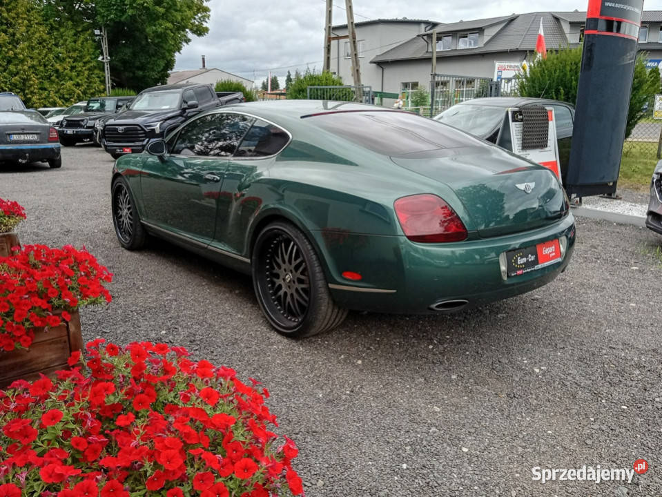 Bentley Continental GT Continental GT lubelskie Janów Lubelski sprzedam