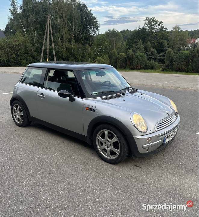 Mini cooper 16 benzyna 2002r Rok produkcji 2002 podkarpackie