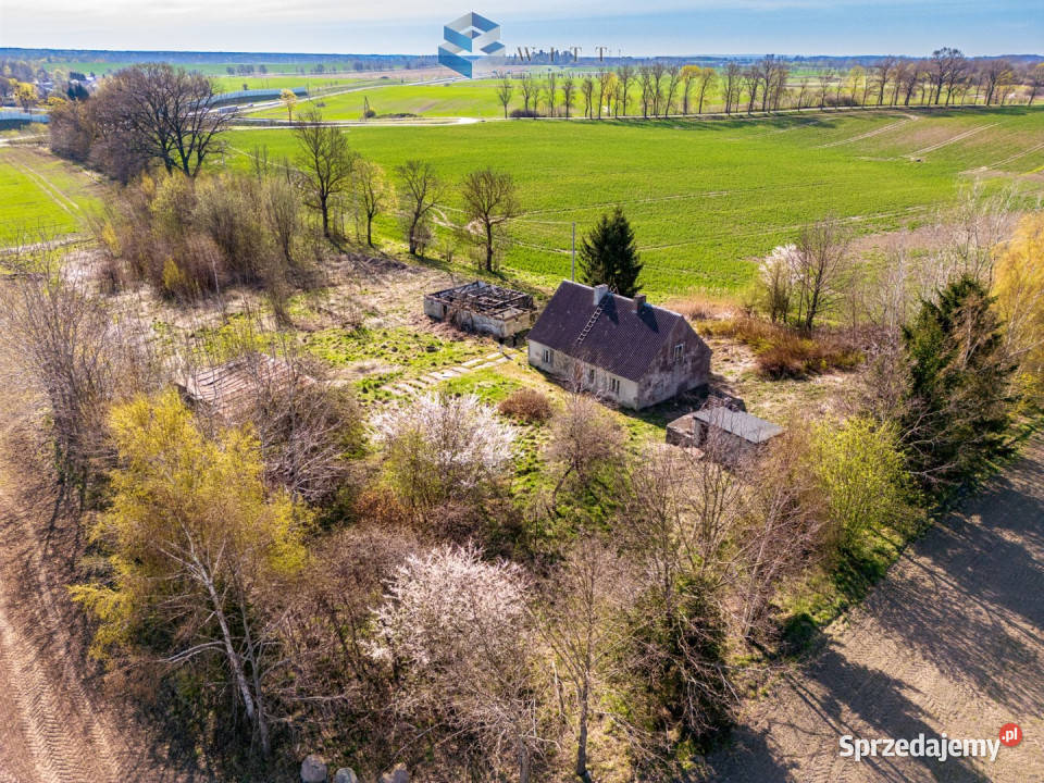 sprzedaży działki Leszczynka Mała 5000m2 sprzedam