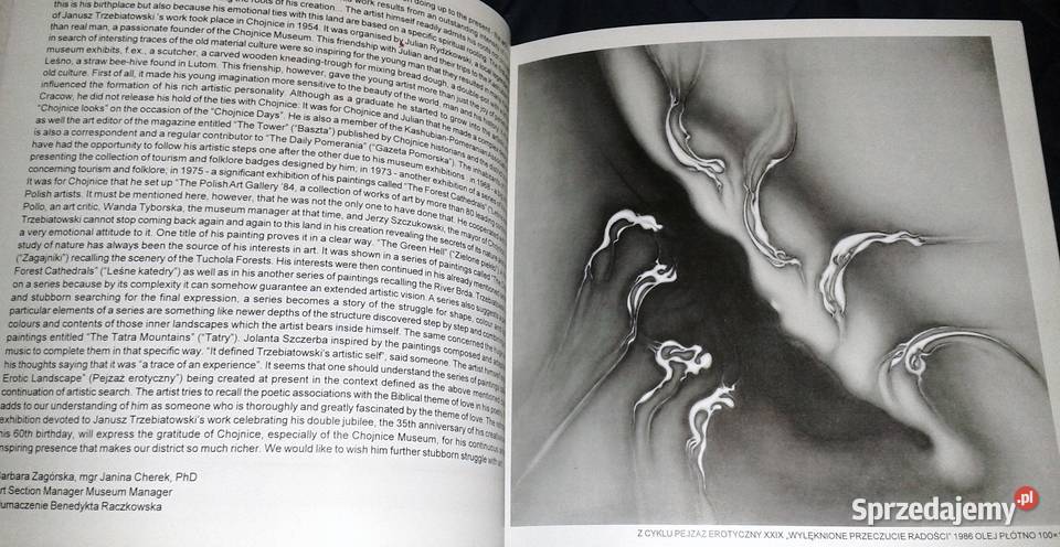 Malarstwo Janusz Trzebiatowski Chełm