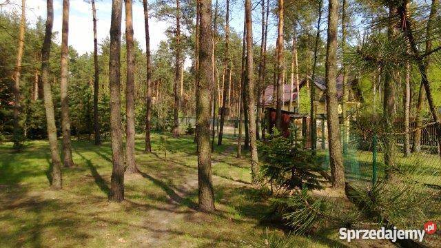 grunt do sprzedaży 1500m Wrzosów kanalizacja Międzyborów