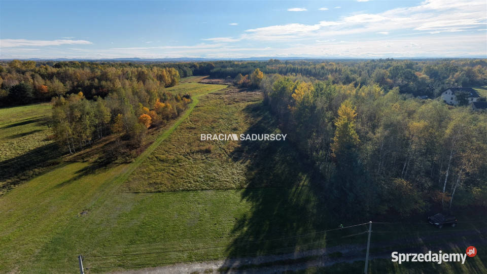 sprzedaży gruntu 4400m2 Buczków
