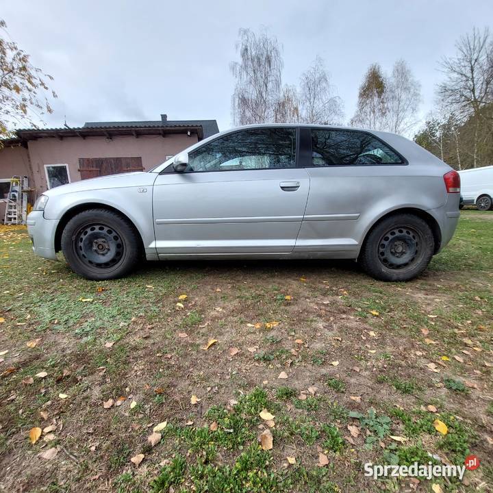 Audi A3 8P 20 TDI 2004