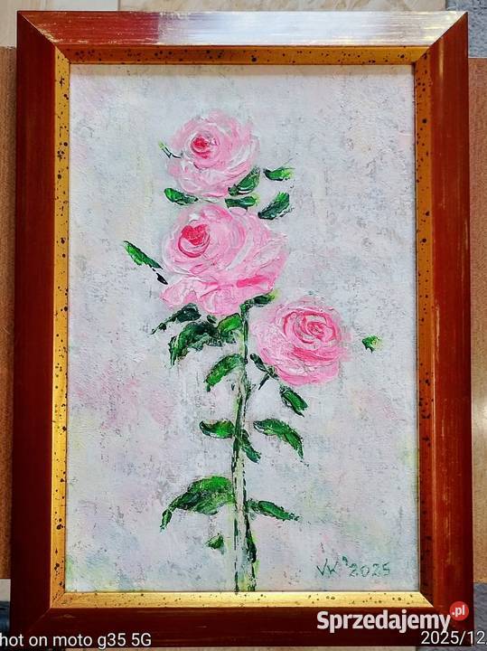 Różowe róże Bychawka Trzecia