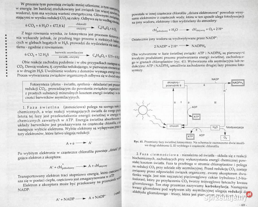 Biologia Henryk Wiśniewski Chełm