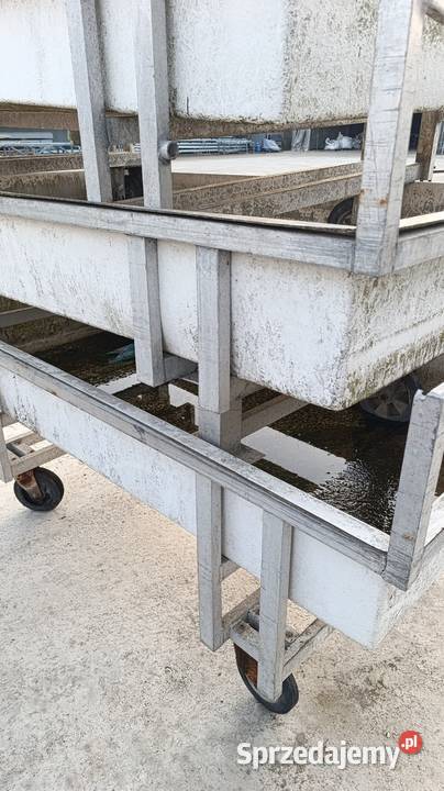 Wanna na kołach pojemnik kwiaty tunel foliowy Czarny Las