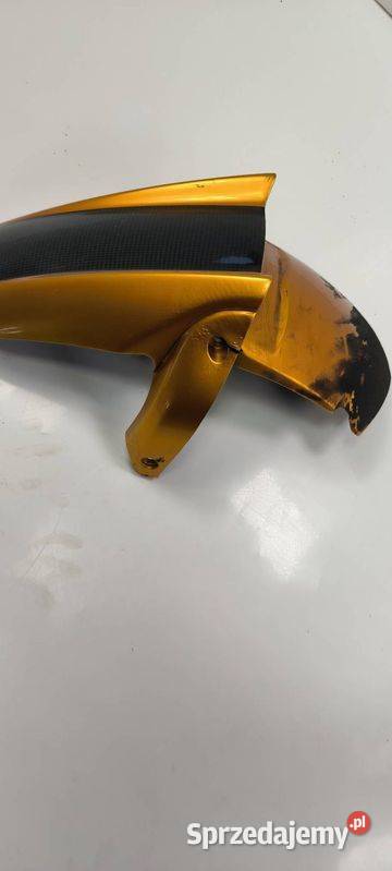 BŁOTNIK MOTOCYKL TYŁ BENELLI TNT 1130 CAFE RACER kujawsko-pomorskie Lipno