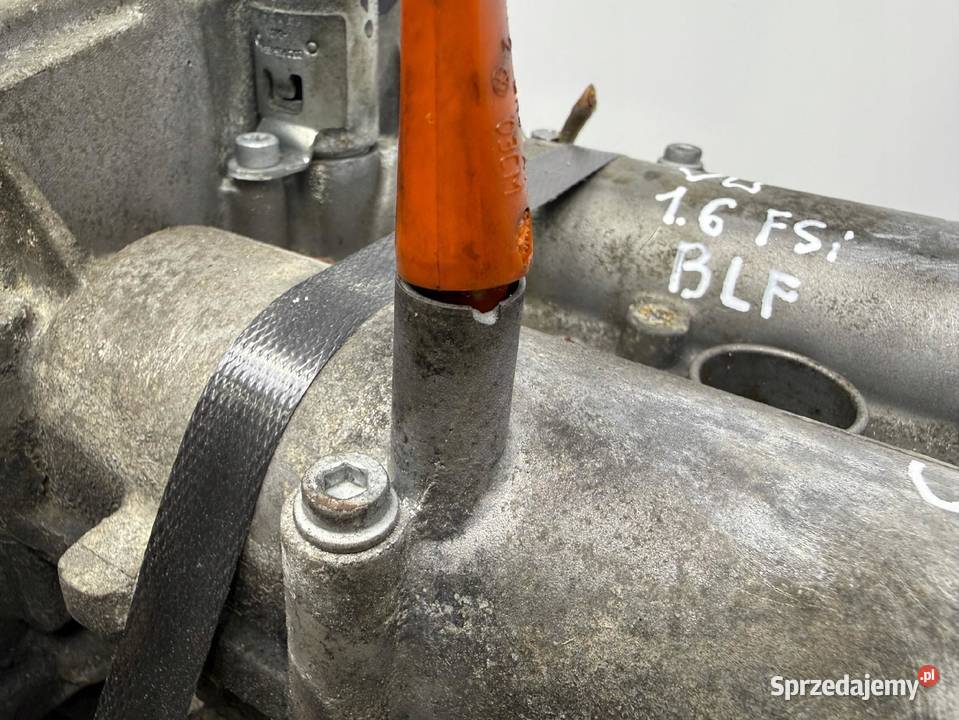 SILNIK BLF VW Touran Golf V Eos Jetta III 16 FSI Chełm