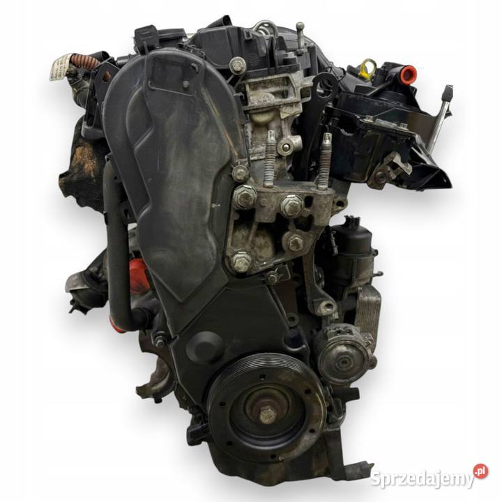 SILNIK G6DA Ford C C Focus MK2 20 TDCI 136 G6DB Chełm