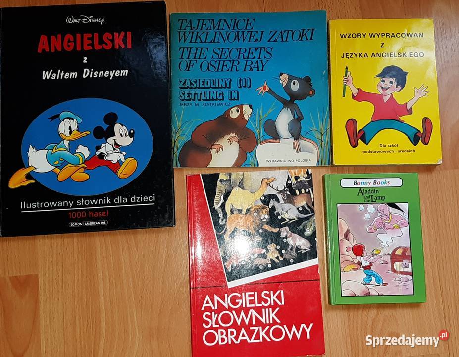 Materiały pomocnicze język angielski dzieci i Sosnowiec
