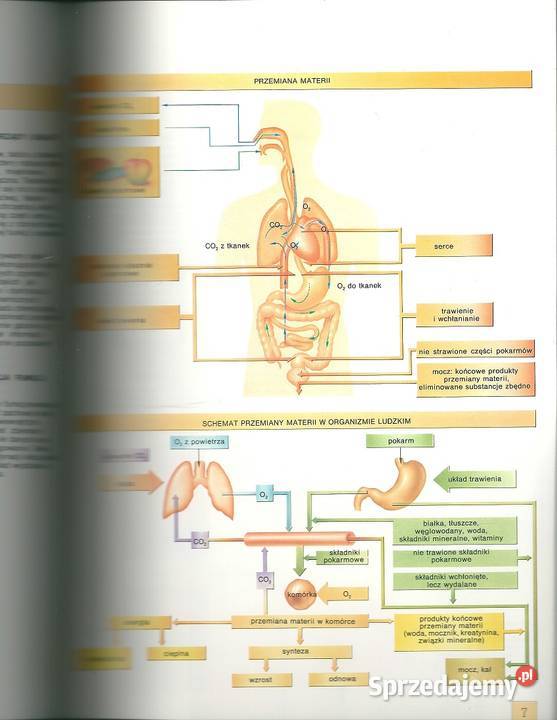 Atlas fizjologii fizjologia atlas medycyna łódzkie