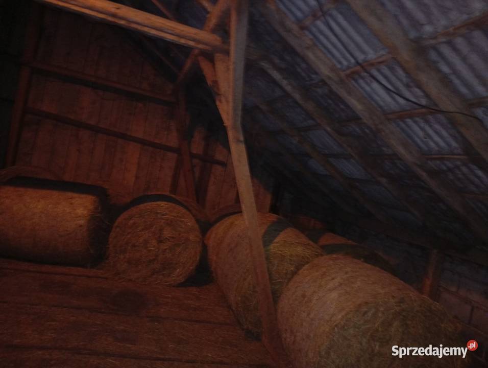 Sprzedam siano w belach i kostkach