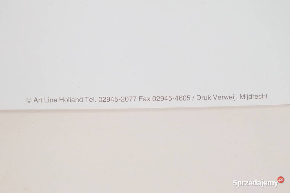 Pieter V Hoof Pejzaż Lubin