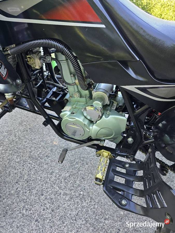 Quad Bashan 250cc Ciecz 41R Kat B Duża Rama quad - ATV Kruszwica