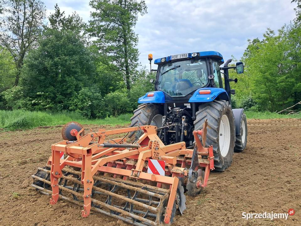 Holand nie Case podkarpackie