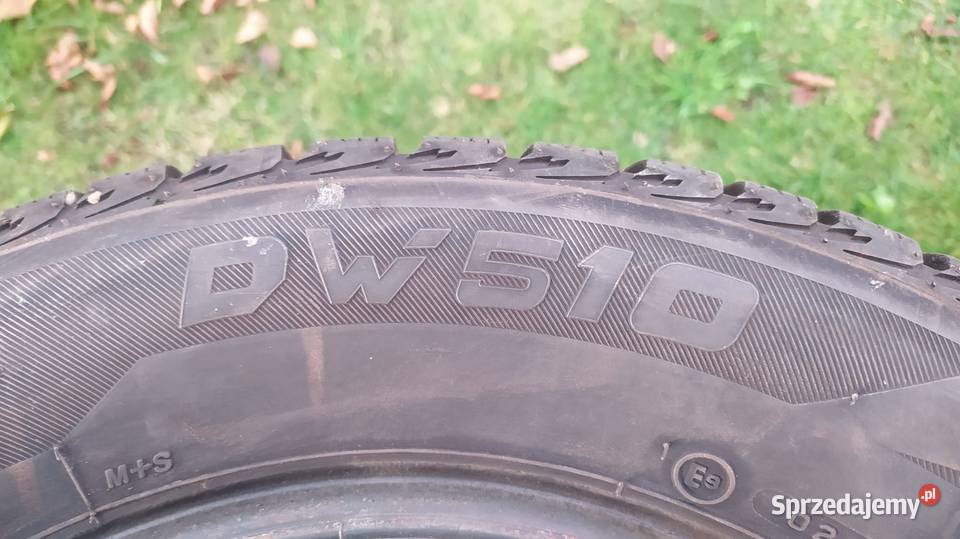 DAYTON EVO DW 510 1856514 Zgorzelec