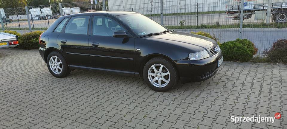 Audi A3 8L 16 Benzyna 2001 r Polift Zadbane do Siedlce sprzedam