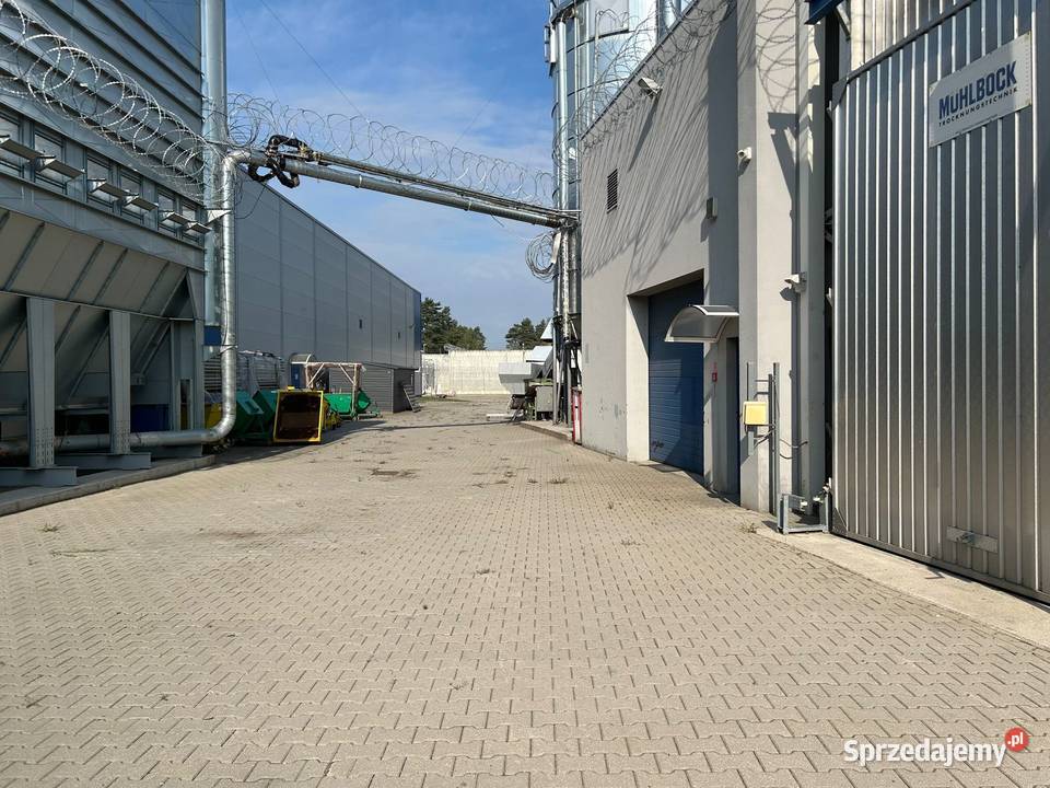 Syndyk sprzeda zorg część przedsiębiorstwa sprzedam