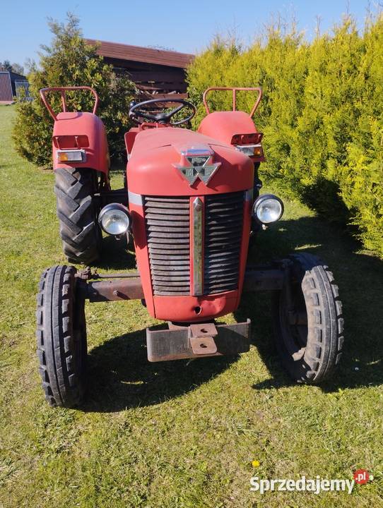Ciągnik Massey Ferguson MF30 Myślibórz sprzedam