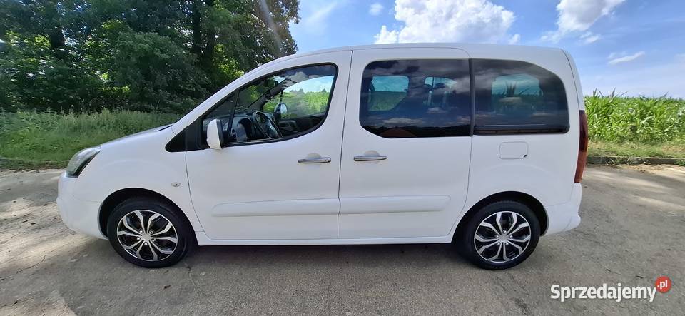 Citroen Berlingo Multispace światła przeciwmgielne Skoczów