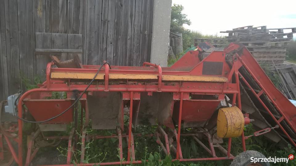 Sortownik do ziemniaków rosyjski