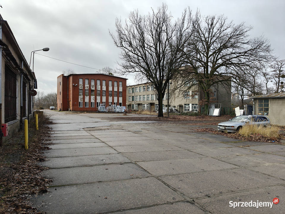 Syndyk sprzeda Szczecińską Fabrykę Wódek STARKA Szczecin sprzedam