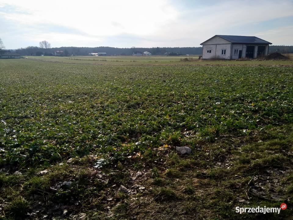 Działka rolnobudowlana Krężnicka Zemborzyce Lublin