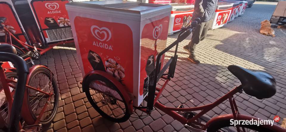 Riksza na lody rower z lodówką mazowieckie Radzymin sprzedam
