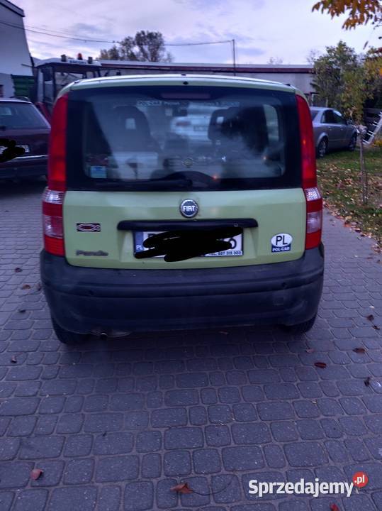 Fiat panda Kalsko