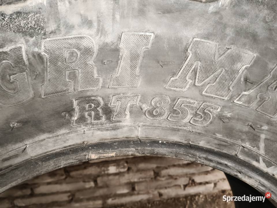 Opona BKT 3808524 Mogilnica