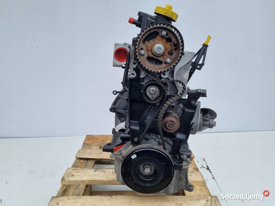 SILNIK REGENERACJI Renault Scenic II 15 DCI Rudka