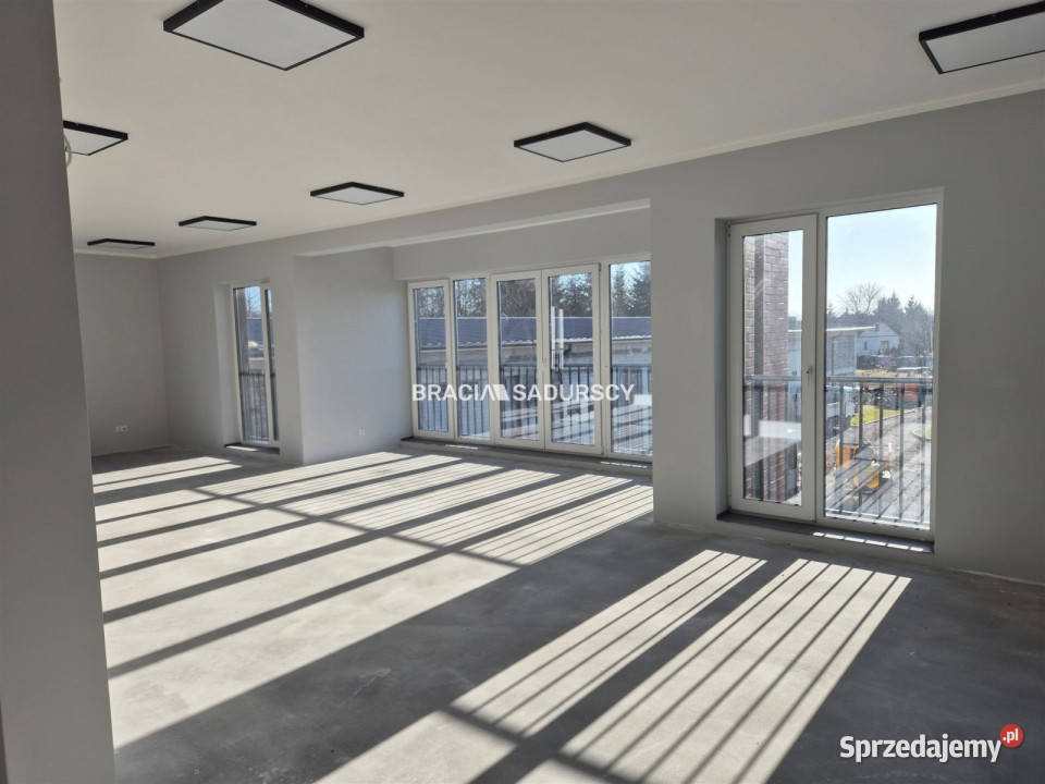 Lokal Kraków Łęg 310m2 od ulicy