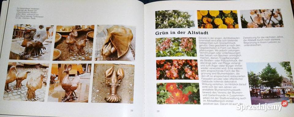 Sanierung Neustadt an der Weinstrae W Funke Chełm