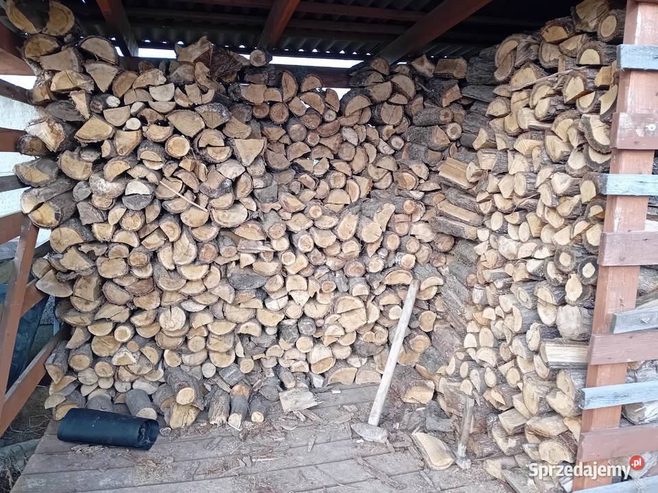 Drewno dąb kujawsko-pomorskie Strzelno