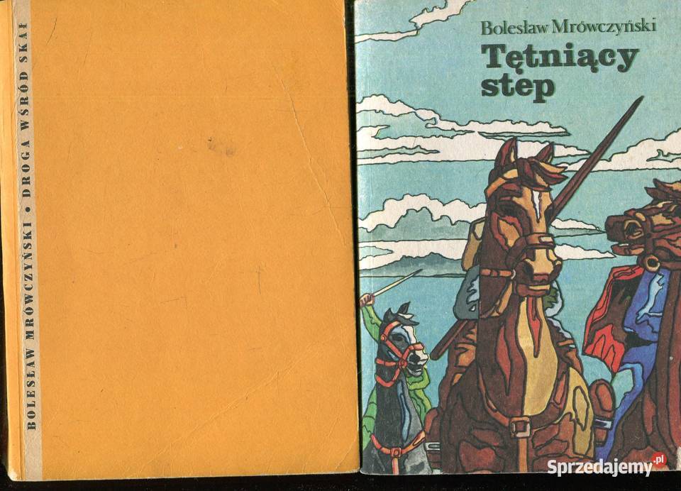 Tętniący step Droga wśród skał Bolesław miękka zachodniopomorskie Szczecin