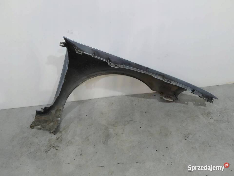 BŁOTNIK LEWY PRZÓD Renault Laguna II 20002007 sprzedam