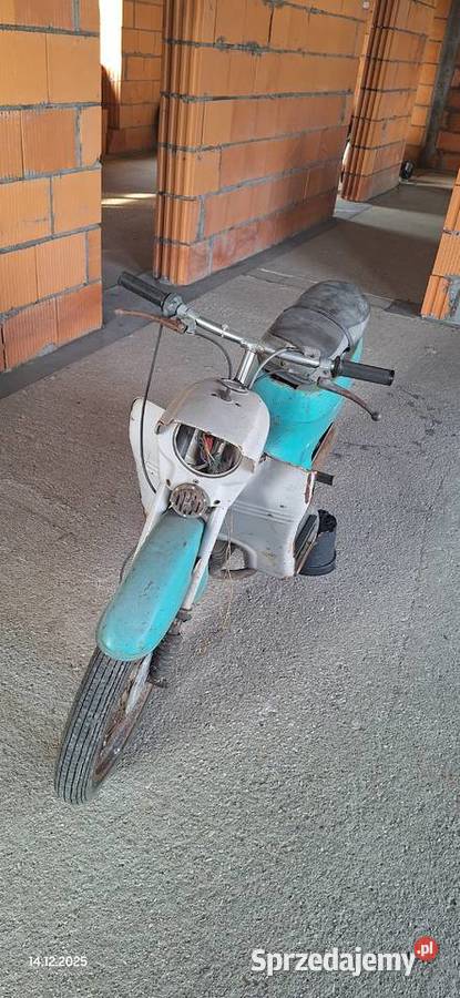 Sprzedam Jawka Chojnów