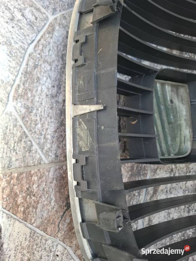 Grill seat leon 2