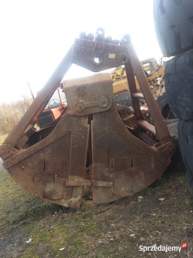 PŁUCZKA MIECZOWA nie Chojnów