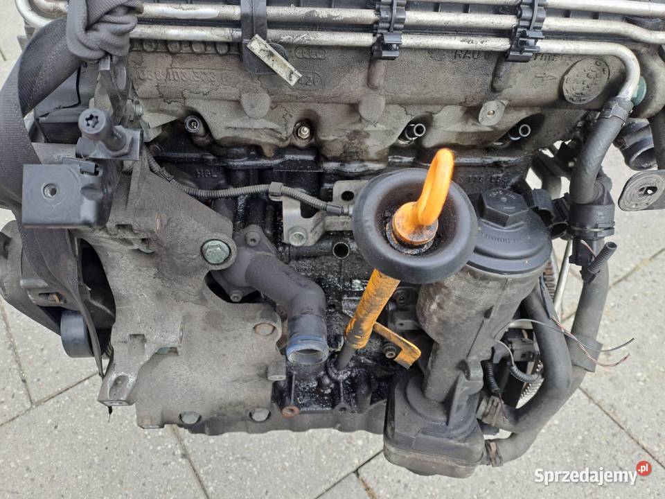 Volkswagen Touran 19 TDi silnik kompletny kod osobowe Jastrzębie-Zdrój