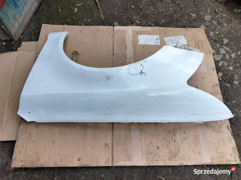 AUDI A6C6 A6 C6 BŁOTNIK LEWY PRZÓD BIAŁY lubelskie Kamień-Kolonia